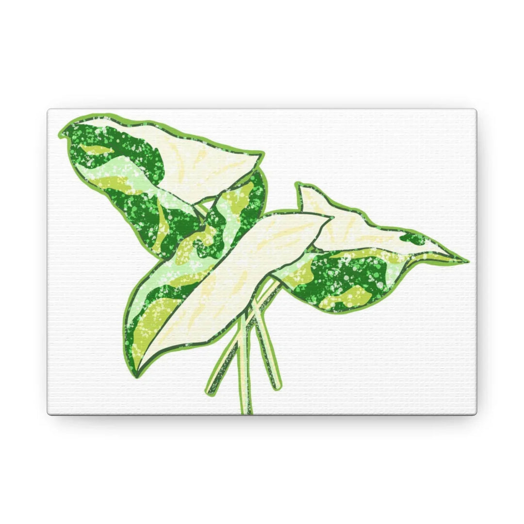 Marble Syngonium Canvas - Botanical Canvas Art Print | Durable Cotton Matte Finish - Laura Christine Photography & Design