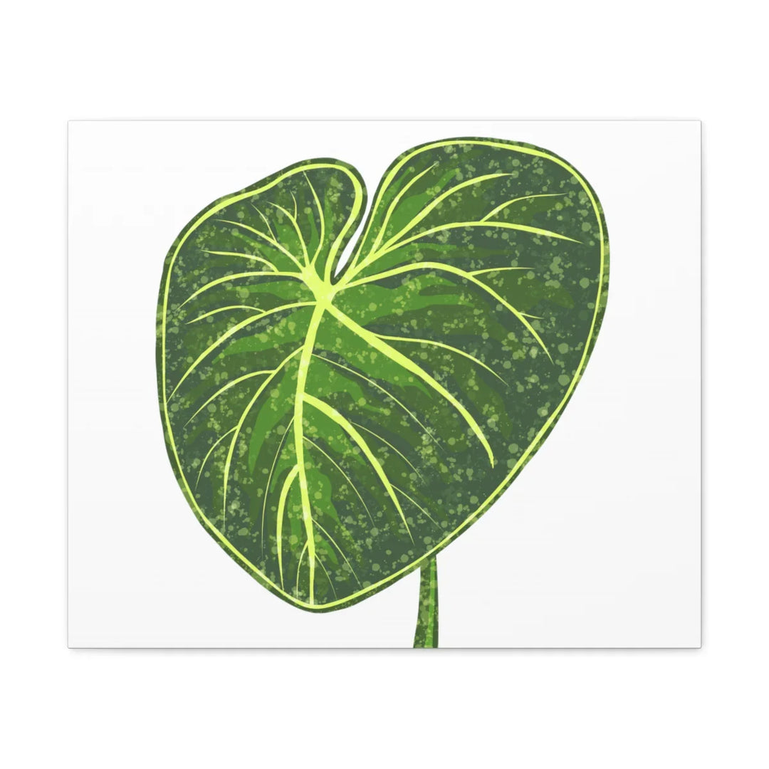 Philodendron Gloriosum Canvas - Stretched Canvas Art Print | Matte Indoor Wall Art - Laura Christine Photography & Design