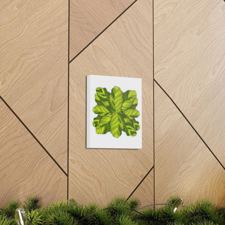 Calathea Yellow Fusion Canvas – Botanical Canvas Print With Unique Leaf Pattern Art - Laura Christine Photography & Design
