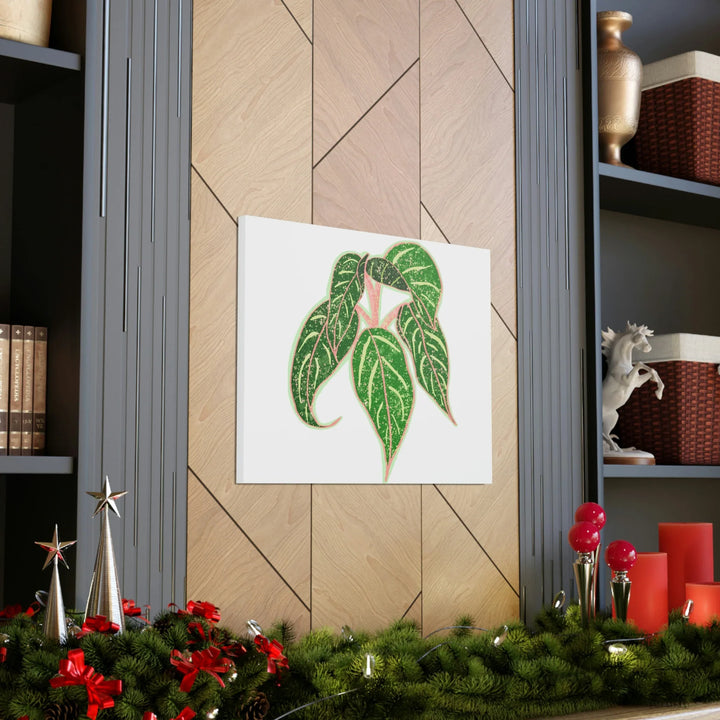 Aglaonema Plant Canvas | Sparkling Plant Artwork - Colorfast Canvas Art Print Decor