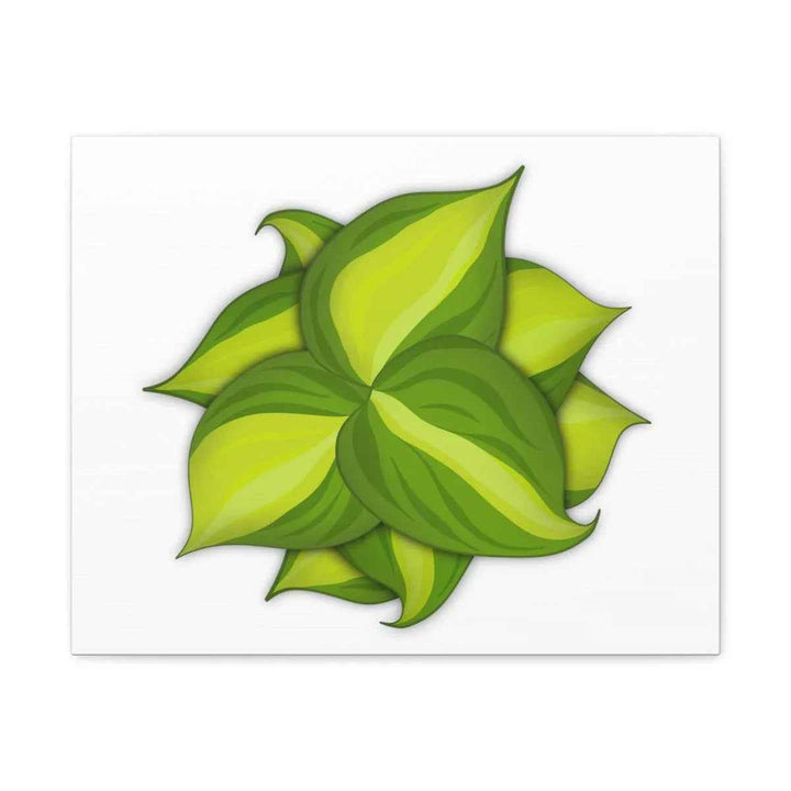 Philodendron Brasil Canvas - Botanical Canvas Art Print With Matte Finish & Durable Hanging