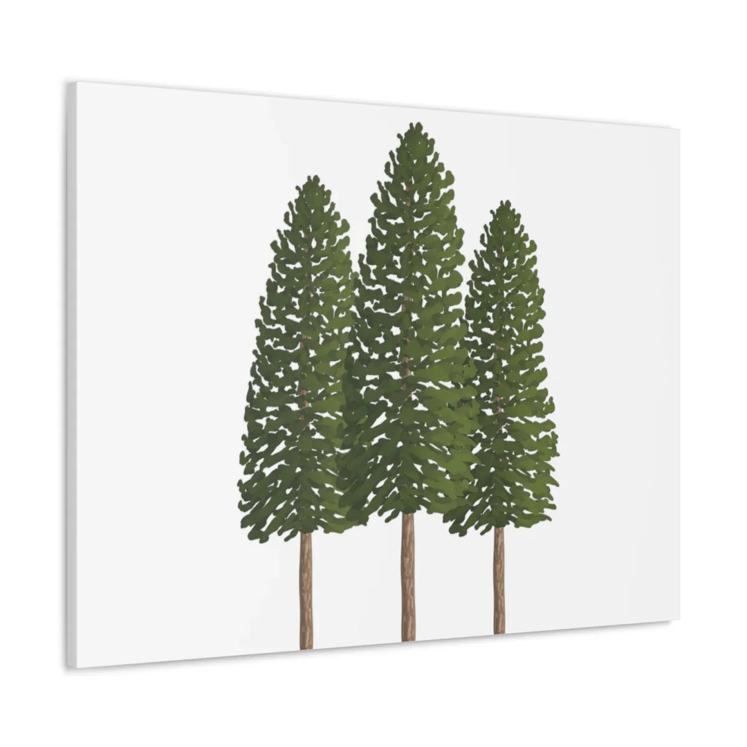 Ponderosa Pine Canvas - Large Stretched Cotton Canvas Art Print With Matte Finish