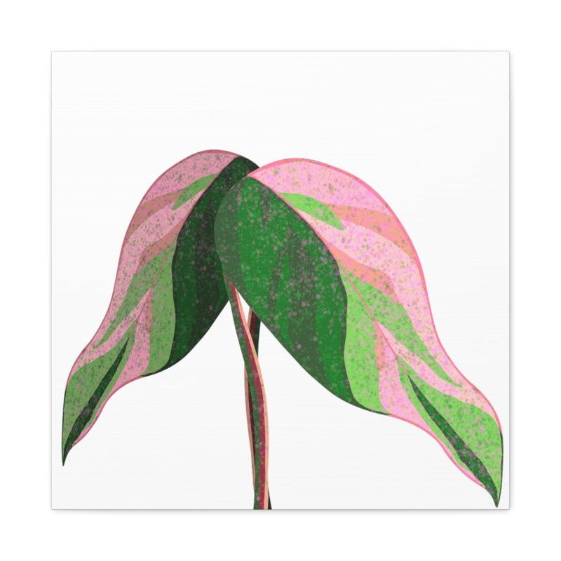 Pink Princess Philodendron Canvas, Canvas, Laura Christine Photography & Design, Art & Wall Decor, Canvas, Hanging Hardware, Home & Living, Indoor, Laura Christine Photography & Design, laurachristinedesign.com