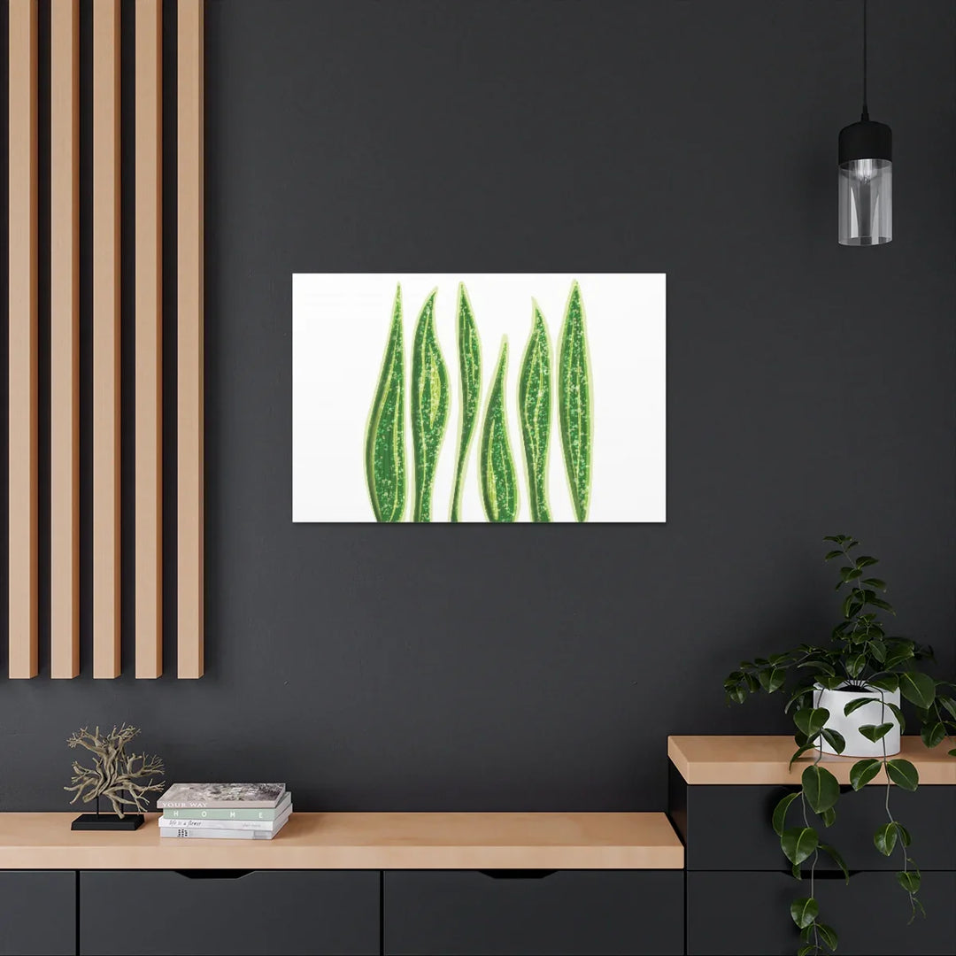 Snake Plant Canvas | Botanical Canvas Decor - Matte Finish Artwork for Living Room - Laura Christine Photography & Design