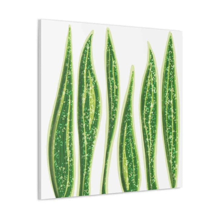 Snake Plant Canvas | Botanical Canvas Decor - Matte Finish Artwork for Living Room