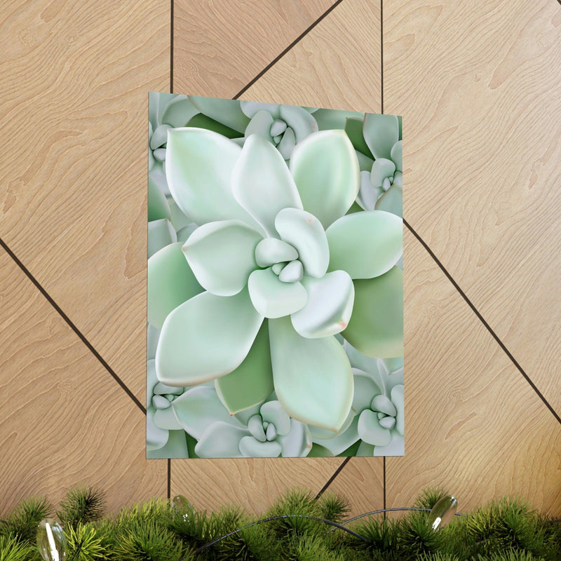 Pachyveria Haagei Succulent Pattern Print, Poster, Printify, Back to School, Home & Living, Indoor, Matte, Paper, Posters, Valentine&