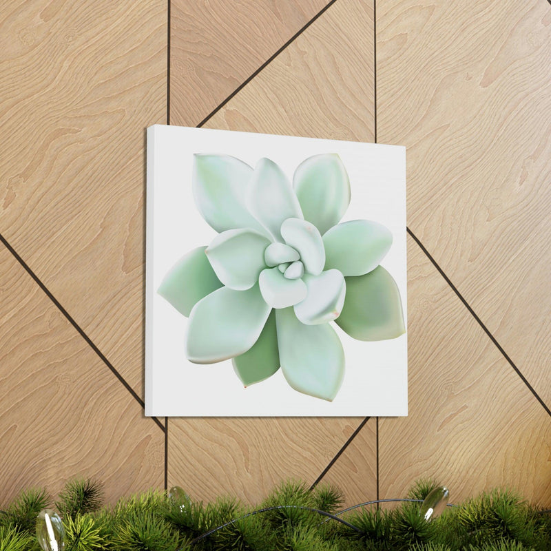 Pachyveria Haagei Succulent Canvas, Canvas, Printify, Art & Wall Decor, Canvas, Hanging Hardware, Home & Living, Indoor, Laura Christine Photography & Design, laurachristinedesign.com