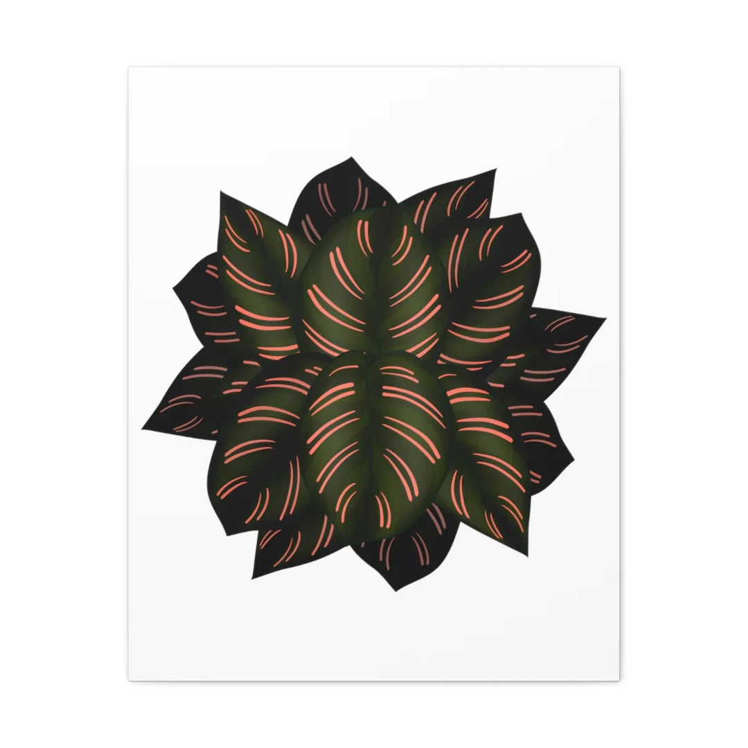 Calathea Pinstripe Canvas – Botanical Canvas Art Print | Matte Finish Wall Decor