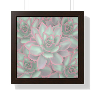 Echeveria Violet Queen Succulent Framed Print, Poster, Laura Christine Photography & Design, Framed, Home & Living, Indoor, Paper, Posters, Laura Christine Photography & Design, laurachristinedesign.com