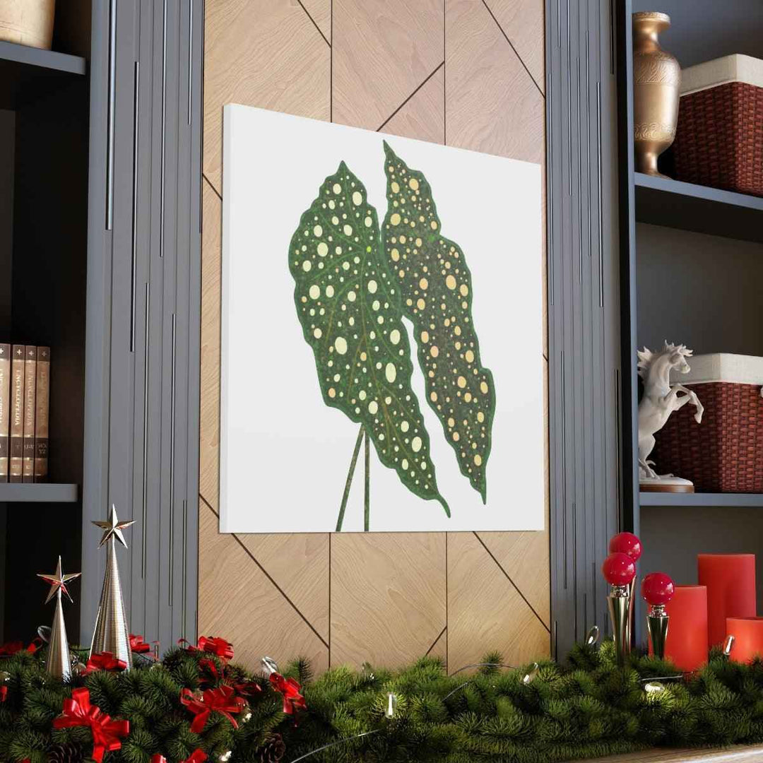 Begonia Maculata Canvas | Premium Canvas Art Print - Matte Finish, Durable Wall Decor