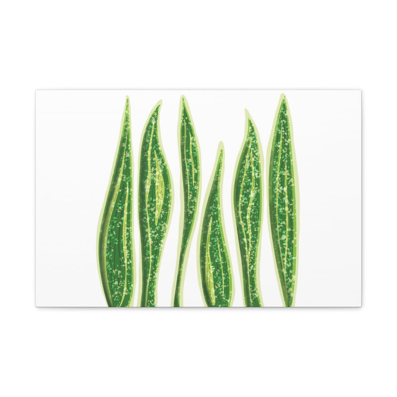 Snake Plant Canvas