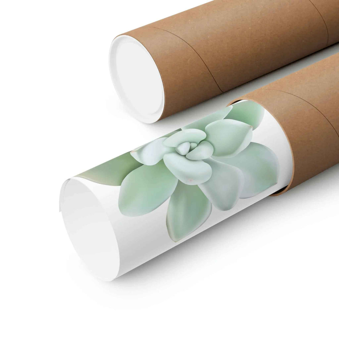 POS Pachyveria Print