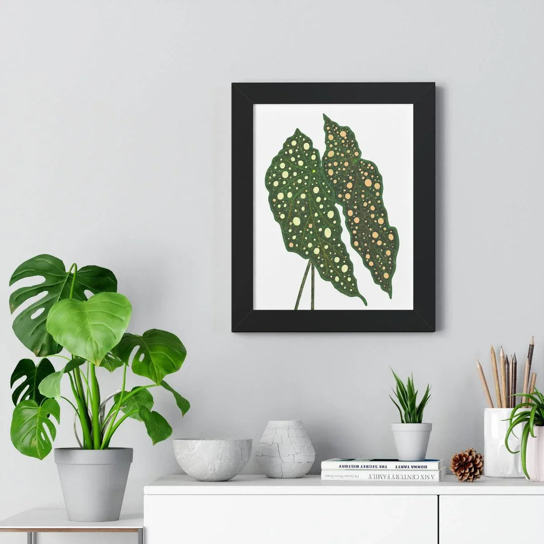 Begonia Maculata Framed Print, Poster, Laura Christine Photography & Design, Framed, Home & Living, Indoor, Paper, Posters, Laura Christine Photography & Design, laurachristinedesign.com