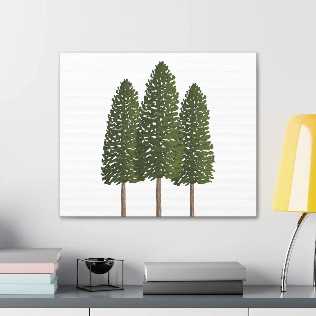 Ponderosa Pine Canvas - Large Stretched Cotton Canvas Art Print With Matte Finish