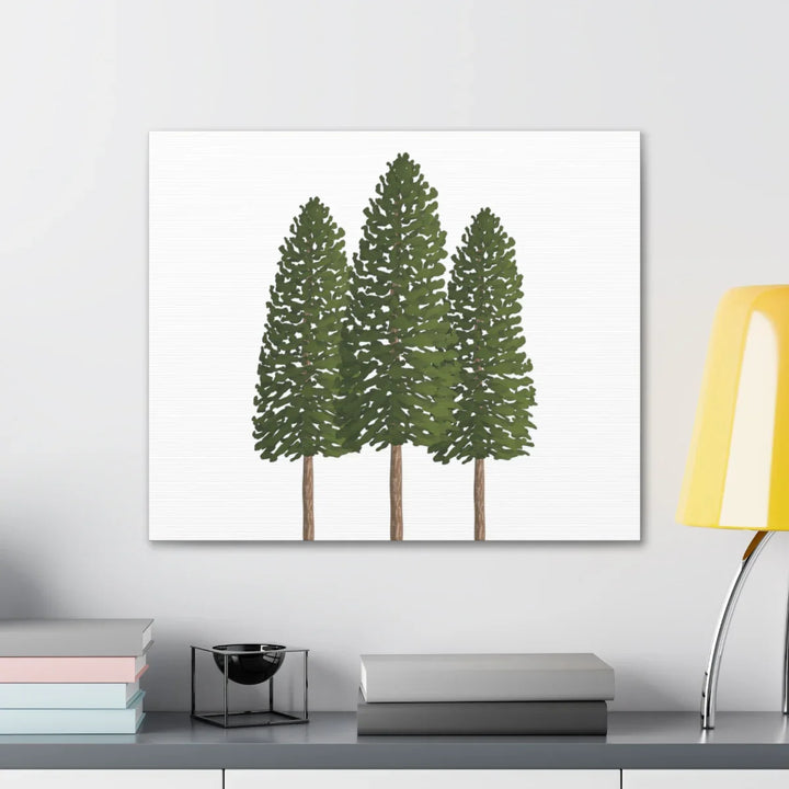 Ponderosa Pine Canvas - Large Stretched Cotton Canvas Art Print With Matte Finish