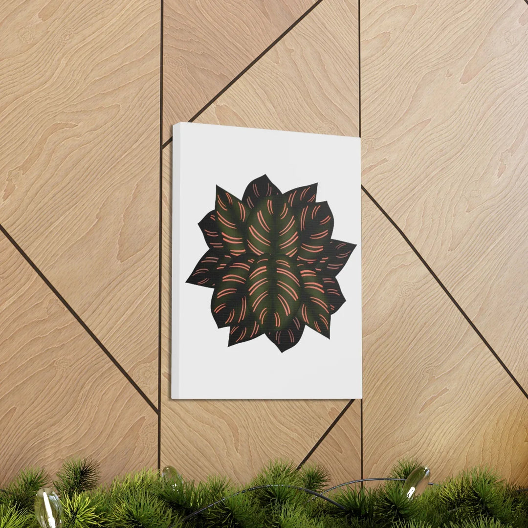 Calathea Pinstripe Canvas – Botanical Canvas Art Print | Matte Finish Wall Decor
