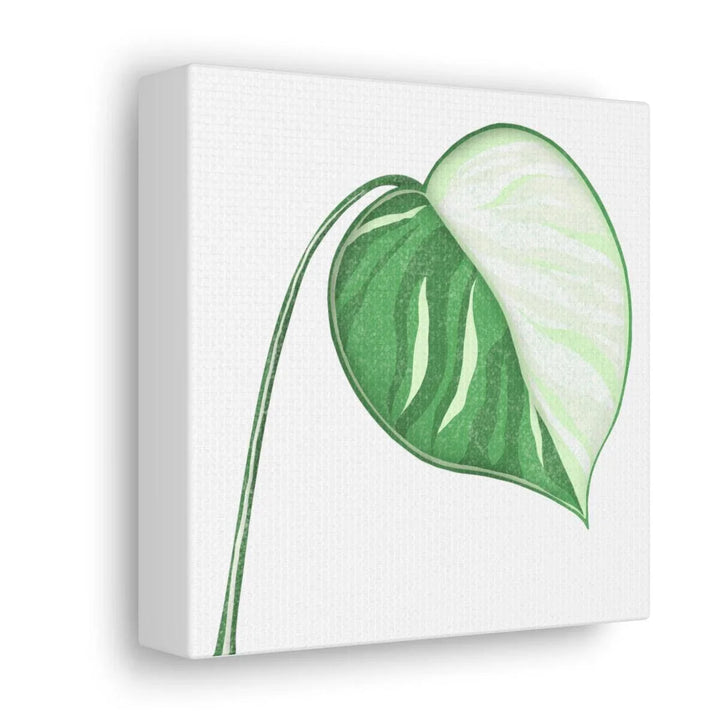 Monstera Albo Canvas | Large Tropical Leaf Artwork - Matte Finish Canvas Art Print - Laura Christine Photography & Design