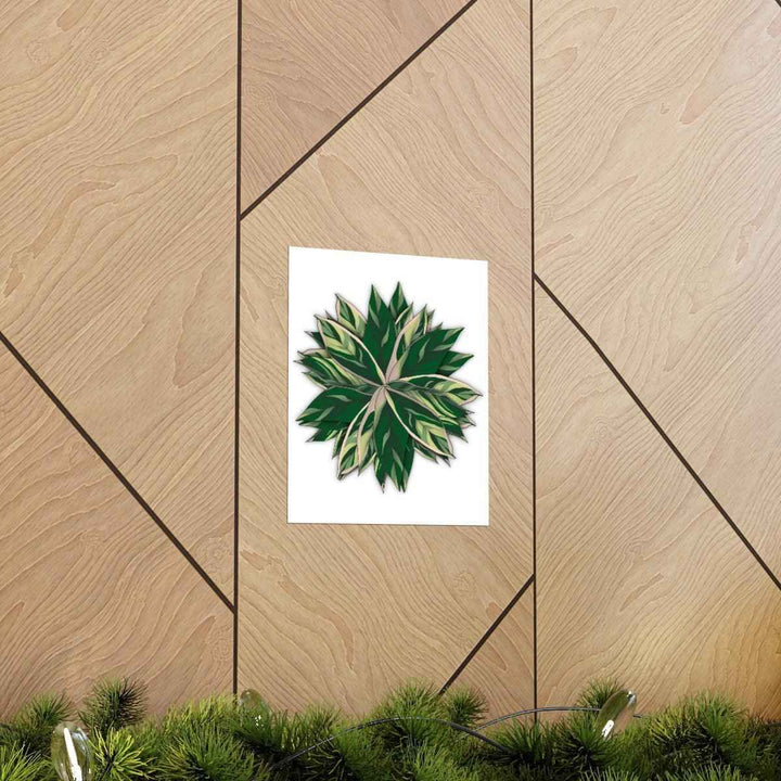 Stromanthe Triostar Print – Tropical Wall Art | Botanical Poster on Museum Grade Paper Unframed