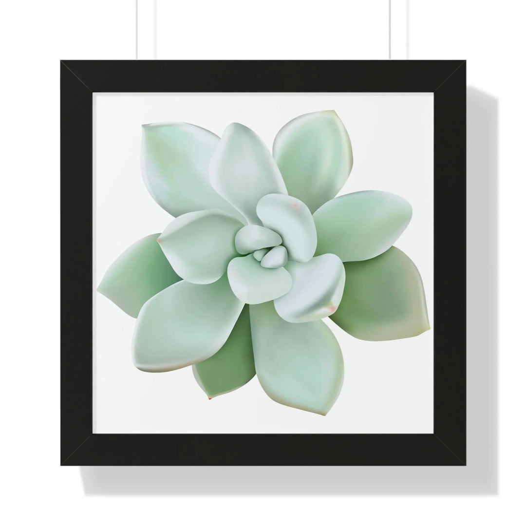Pachyveria Haagei Succulent Framed Print, Poster, Printify, Framed, Home & Living, Indoor, Paper, Posters, Laura Christine Photography & Design, laurachristinedesign.com