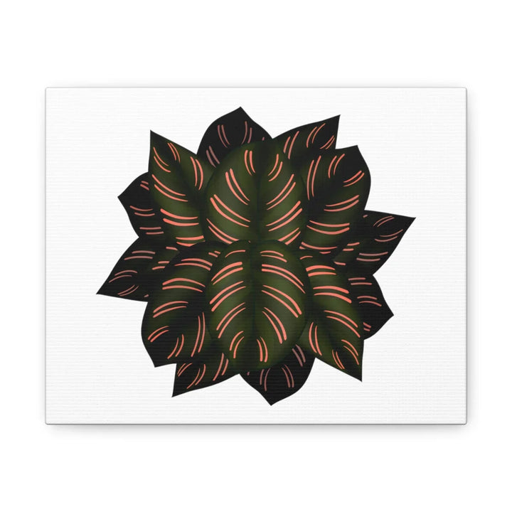 Calathea Pinstripe Canvas – Botanical Canvas Art Print | Matte Finish Wall Decor