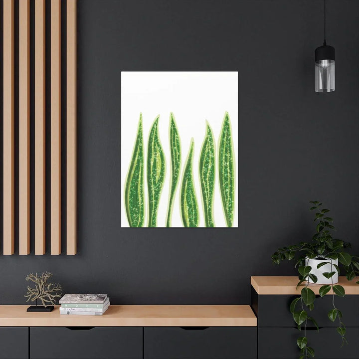 Snake Plant Canvas | Botanical Canvas Decor - Matte Finish Artwork for Living Room - Laura Christine Photography & Design