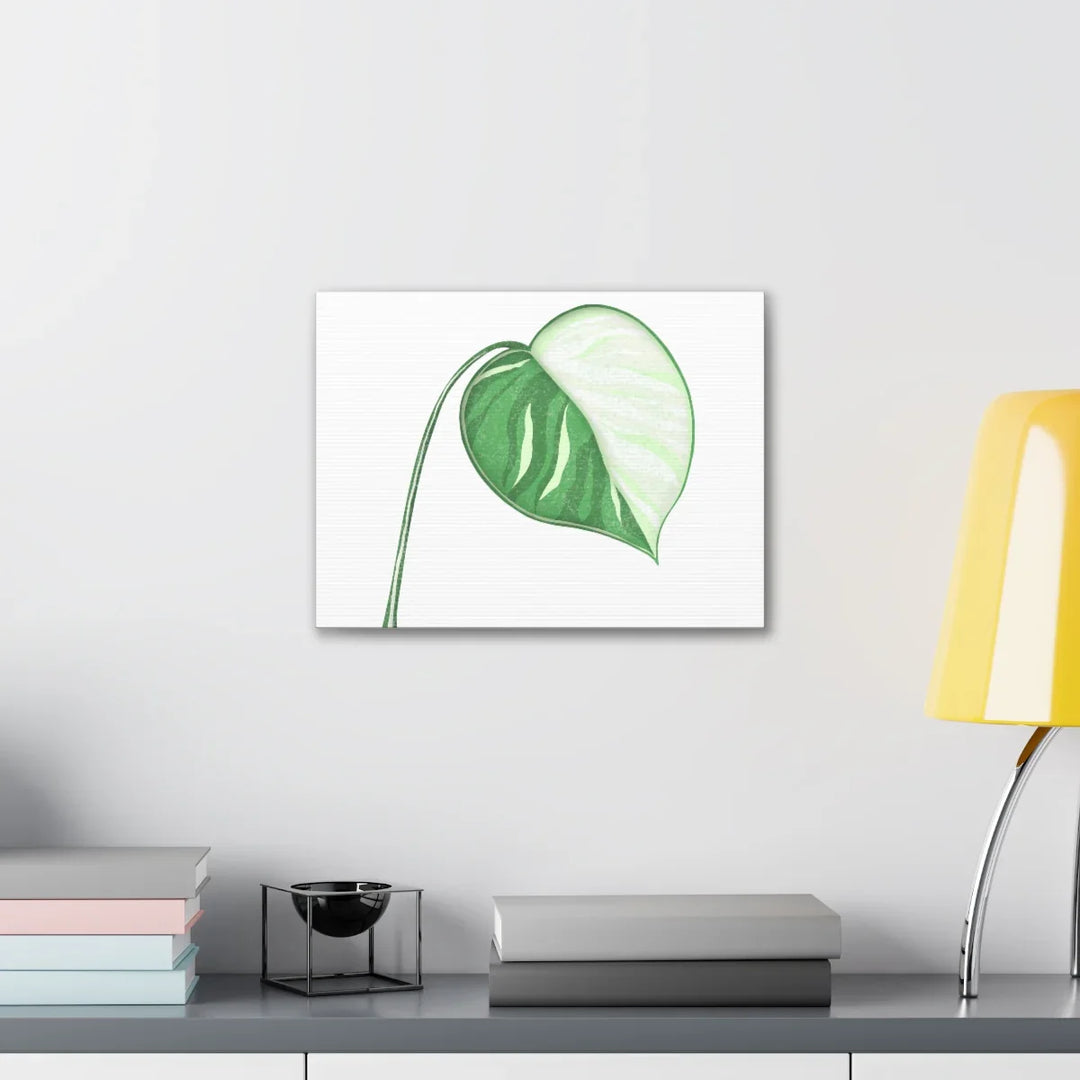 Monstera Albo Canvas | Large Tropical Leaf Artwork - Matte Finish Canvas Art Print - Laura Christine Photography & Design