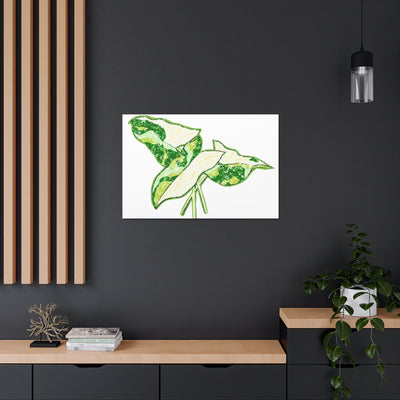 Marble Syngonium Canvas