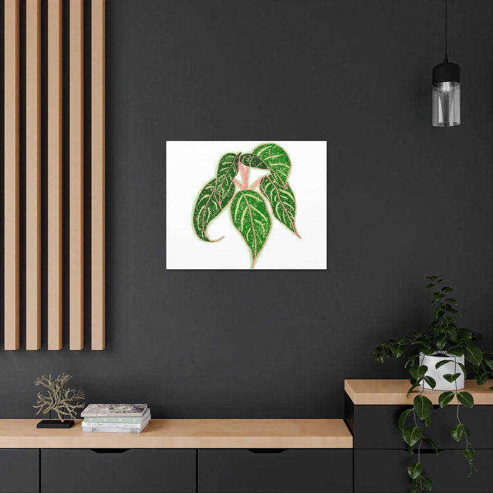 Aglaonema Plant Canvas | Sparkling Plant Artwork - Colorfast Canvas Art Print Decor