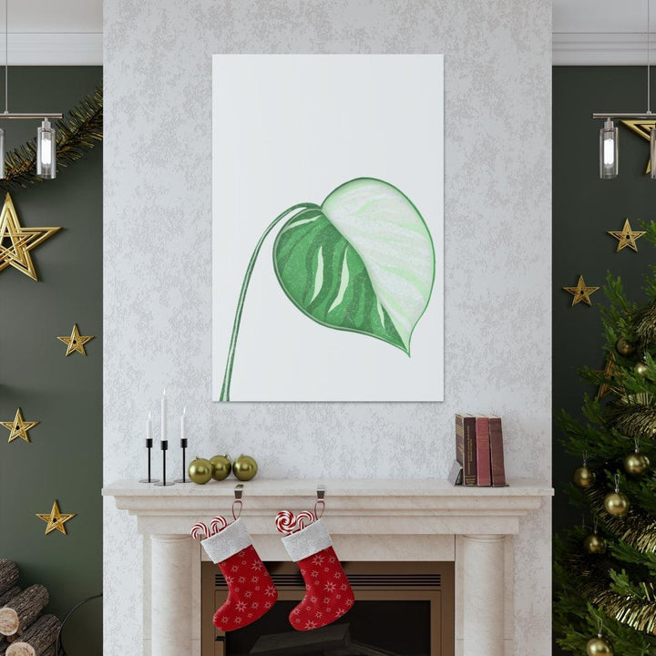 Monstera Albo Canvas | Large Tropical Leaf Artwork - Matte Finish Canvas Art Print - Laura Christine Photography & Design