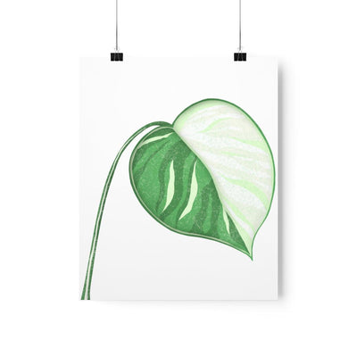 Monstera Albo Print, Poster, Laura Christine Photography & Design, Back to School, Home & Living, Indoor, Matte, Paper, Posters, Valentine's Day promotion, Laura Christine Photography & Design, laurachristinedesign.com