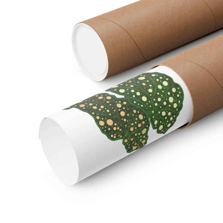 Begonia Maculata Print - Botanical Wall Art on Museum Grade Paper | Matte Finish Unframed