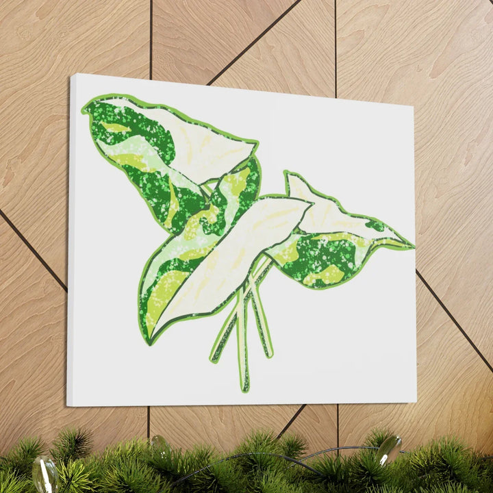 Marble Syngonium Canvas - Botanical Canvas Art Print | Durable Cotton Matte Finish - Laura Christine Photography & Design