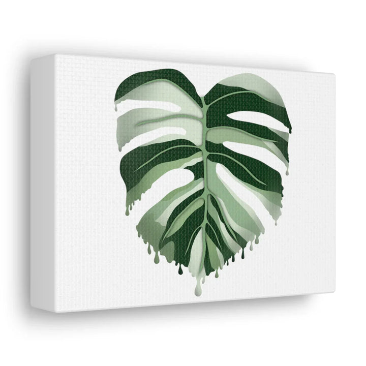 Melting Monstera Albo Canvas | Large Botanical Canvas Art Print With Matte Finish - Laura Christine Photography & Design