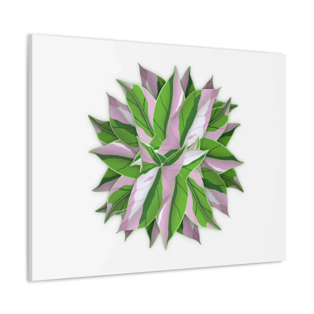 Tricolor Syngonium Canvas - Durable Canvas Art Print With Matte Finish & Botanical Design - Laura Christine Photography & Design