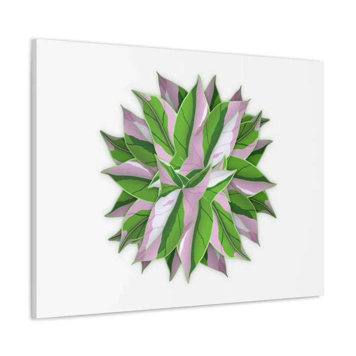 Tricolor Syngonium Canvas - Durable Canvas Art Print With Matte Finish & Botanical Design - Laura Christine Photography & Design