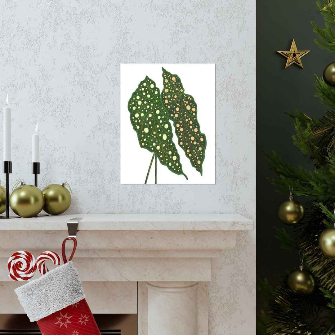 Begonia Maculata Print - Botanical Wall Art on Museum Grade Paper | Matte Finish Unframed