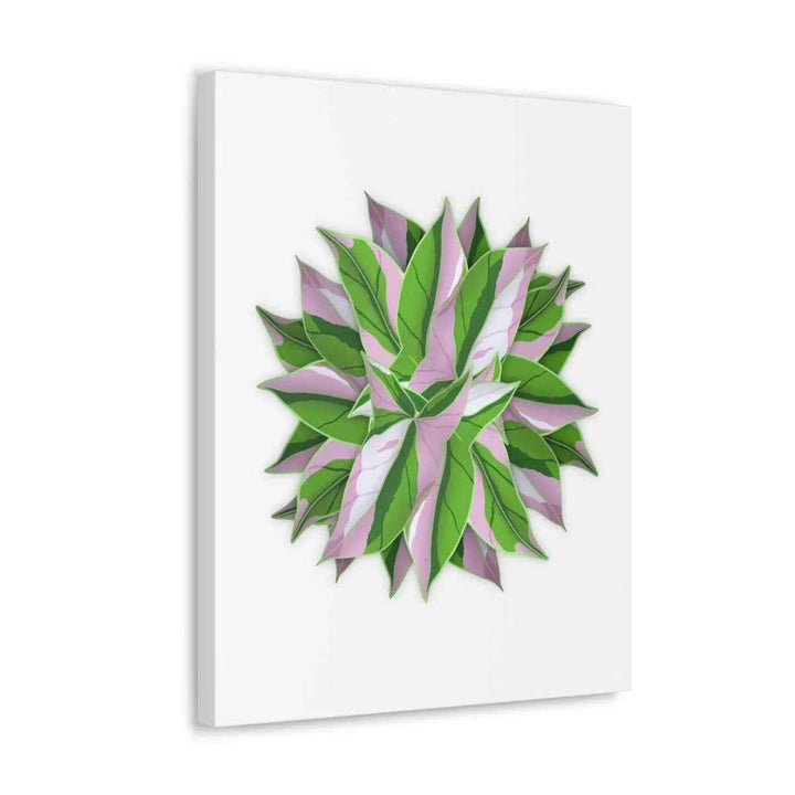 Tricolor Syngonium Canvas - Durable Canvas Art Print With Matte Finish & Botanical Design