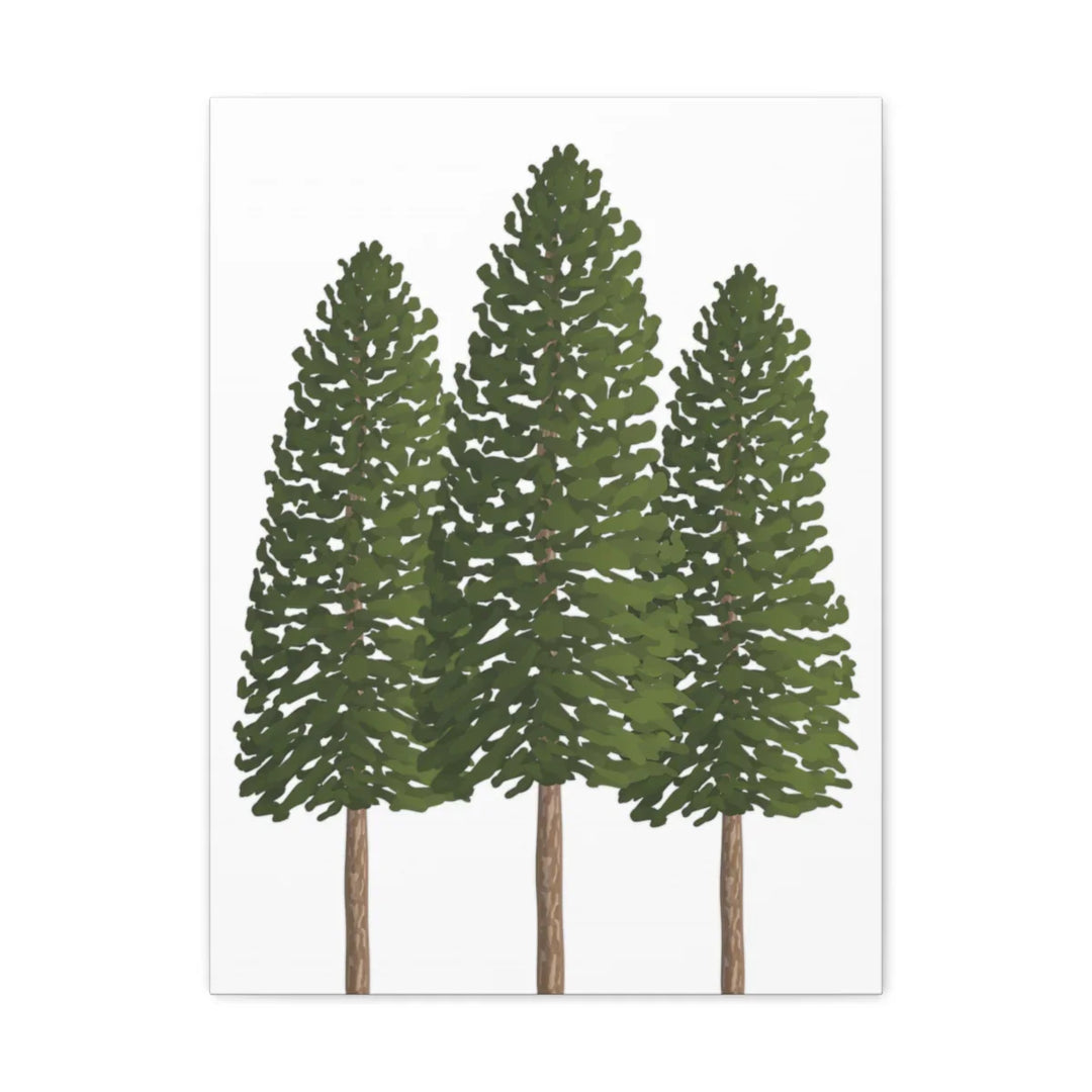 Ponderosa Pine Canvas - Large Stretched Cotton Canvas Art Print With Matte Finish