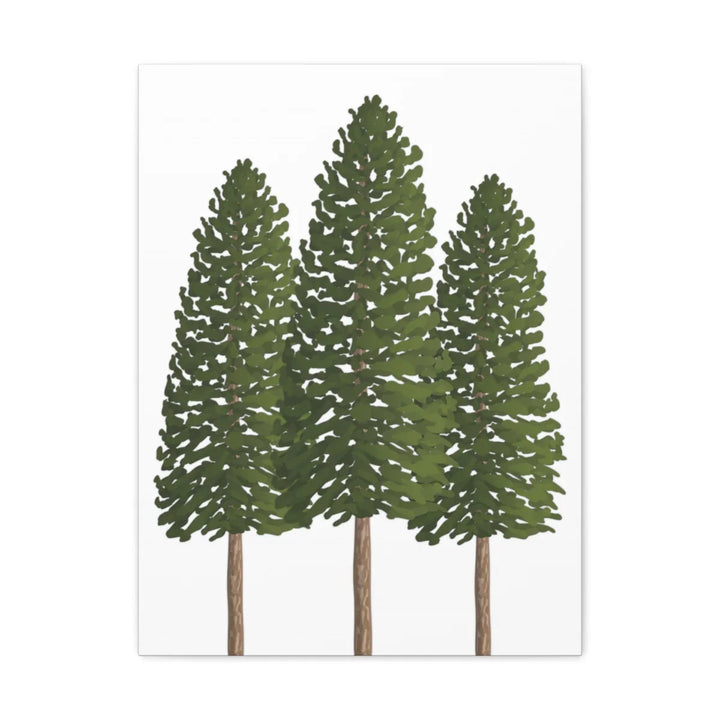Ponderosa Pine Canvas - Large Stretched Cotton Canvas Art Print With Matte Finish
