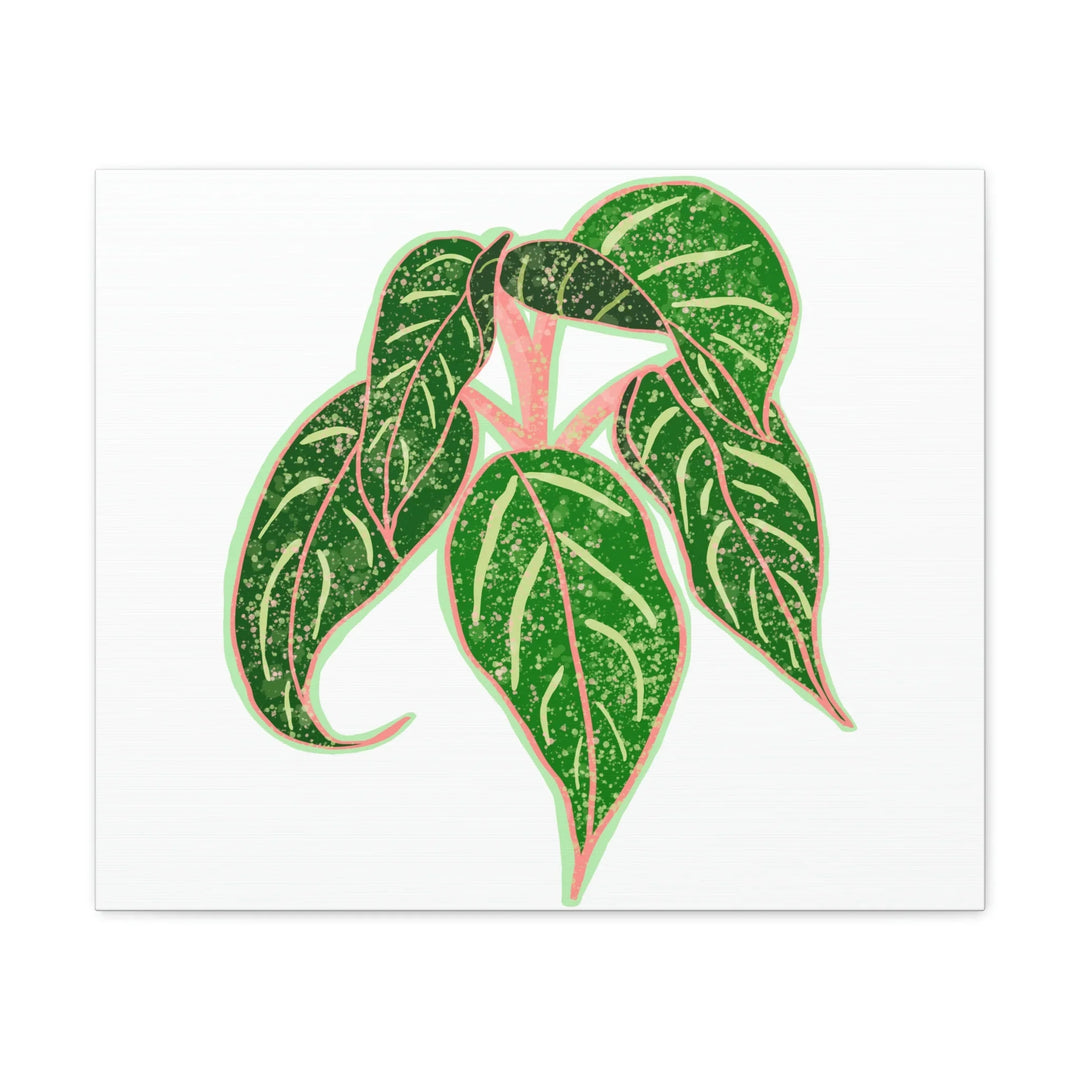 Aglaonema Plant Canvas | Sparkling Plant Artwork - Colorfast Canvas Art Print Decor