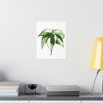 Philodendron 'Cream Splash' Print, Poster, Printify, Back to School, Home & Living, Indoor, Matte, Paper, Posters, Valentine's Day promotion, Laura Christine Photography & Design, laurachristinedesign.com