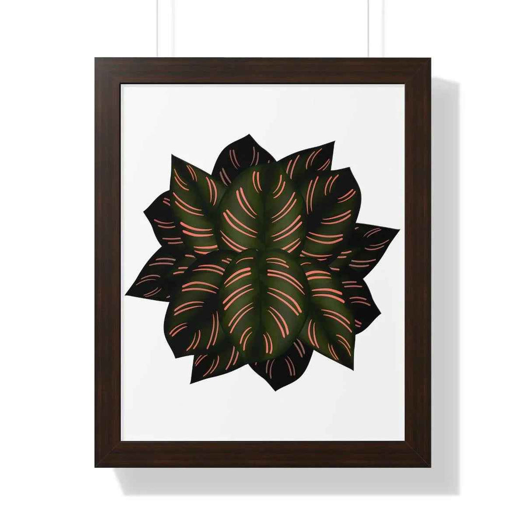 Calathea Pinstripe Print - Framed Botanical Art With Matte Finish & Acrylic Cover