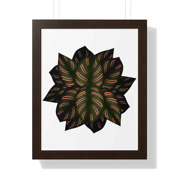 Calathea Pinstripe Print - Framed Botanical Art With Matte Finish & Acrylic Cover