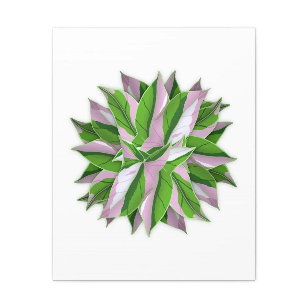 Tricolor Syngonium Canvas - Durable Canvas Art Print With Matte Finish & Botanical Design - Laura Christine Photography & Design