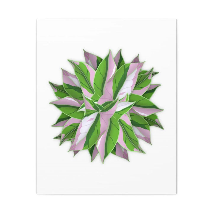 Tricolor Syngonium Canvas - Durable Canvas Art Print With Matte Finish & Botanical Design - Laura Christine Photography & Design