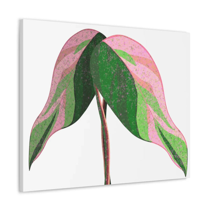 Pink Princess Philodendron Canvas Art Print – Botanical Wall Decor | Matte Finish