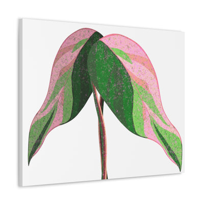 Pink Princess Philodendron Canvas