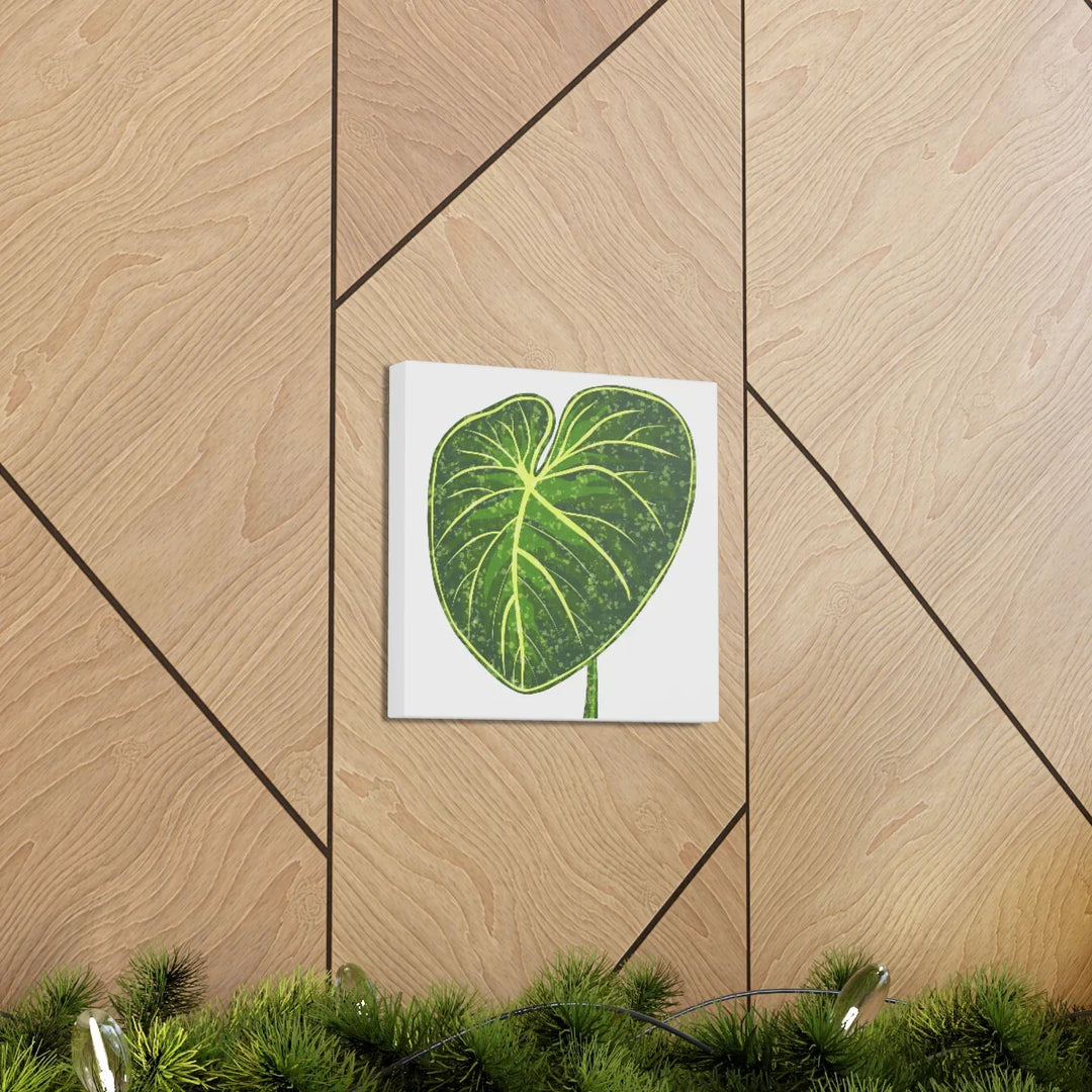 Philodendron Gloriosum Canvas - Stretched Canvas Art Print | Matte Indoor Wall Art - Laura Christine Photography & Design
