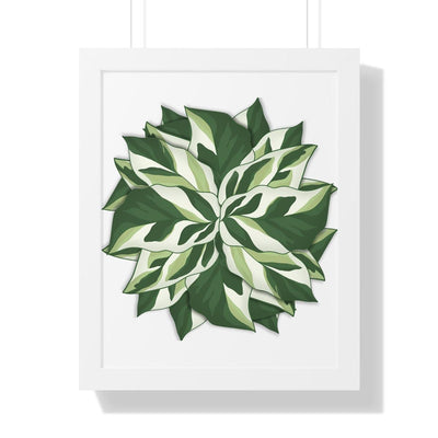 Calathea White Fusion Framed Print, Poster, Laura Christine Photography & Design, Bottle, Calathea, Canvas Bag, Coffee, Drinkware, Framed, Home & Living, Indoor, Paper, Posters, Prayer Plant, Reusable, Shopping Bag, Tea, Tote Bag, Travel, Tumbler, Water, White Fusion, Laura Christine Photography & Design, laurachristinedesign.com