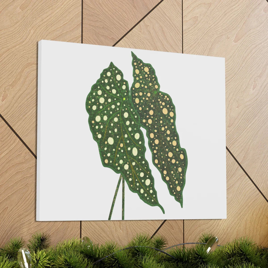 Begonia Maculata Canvas | Premium Canvas Art Print - Matte Finish, Durable Wall Decor - Laura Christine Photography & Design